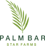 Palm Bar Logo NO DATE 1