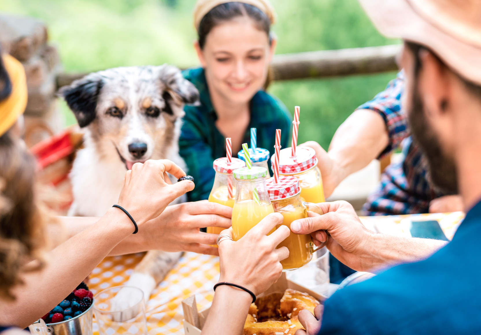 happy-friends-toasting-healthy-orange-fruit-juice-countryside-picnic 1 (1)